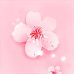 樱花直播app污在线观看