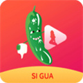 丝瓜视频污app下载安装