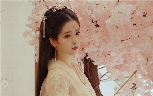 菠萝蜜app下载汅api免费新版